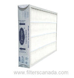 Carrier GAPCCCAR2025 Replacement Filter